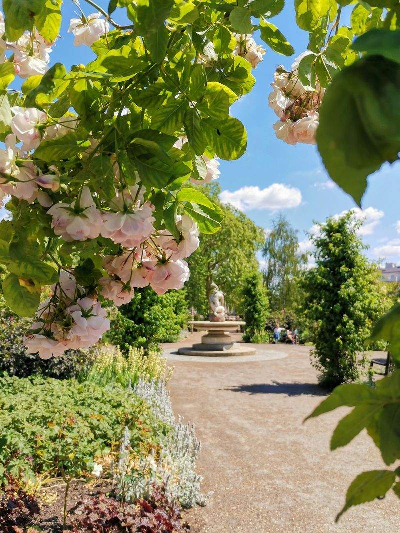 Maple Bloom Garden Co.