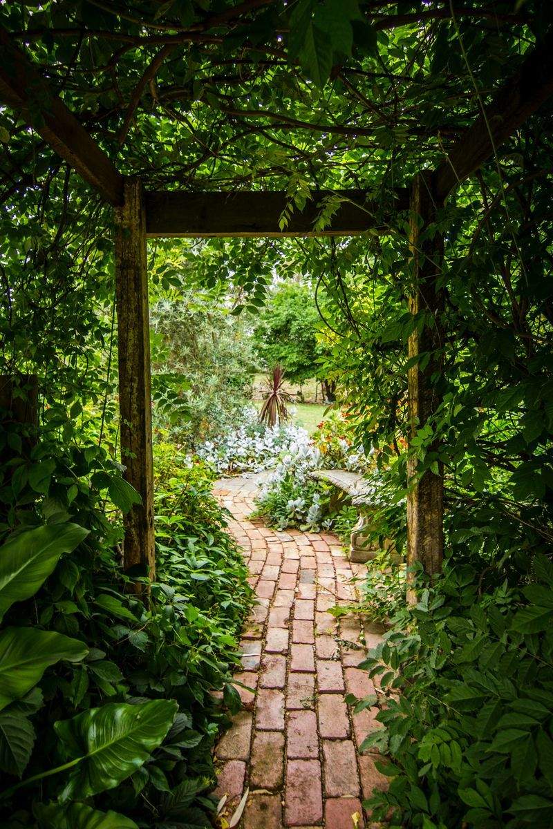 Small Courtyard Planting Plan