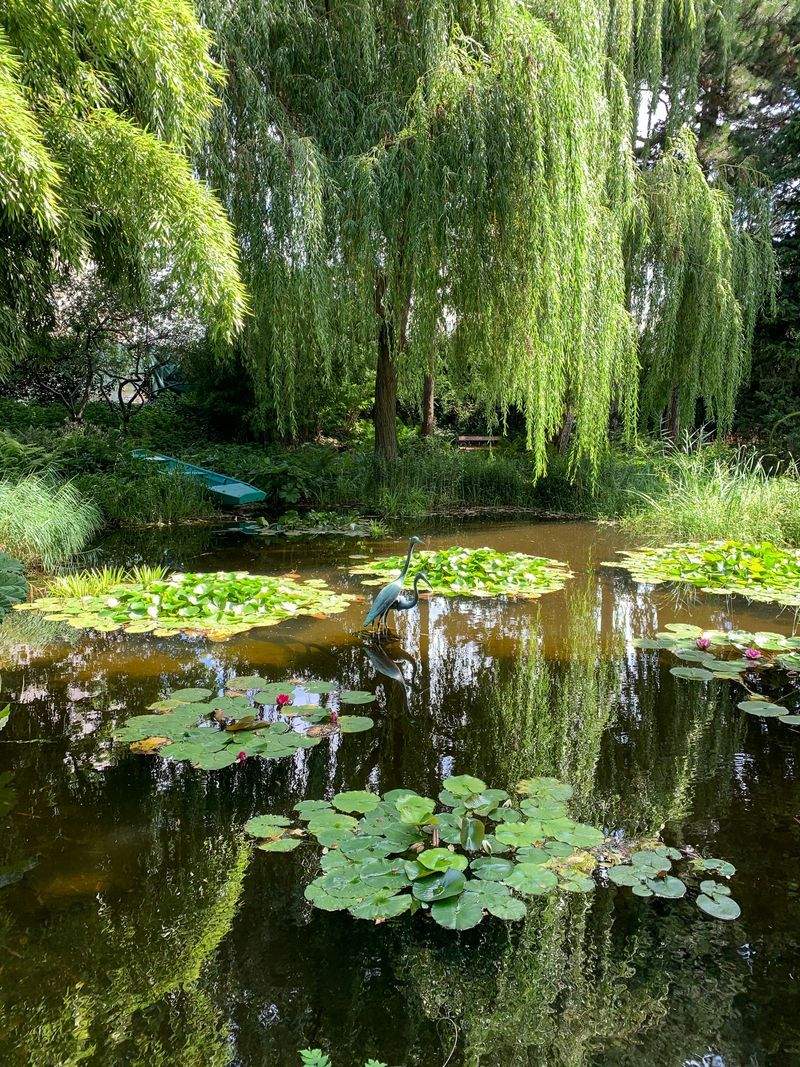 Maple Bloom Garden Co. 13