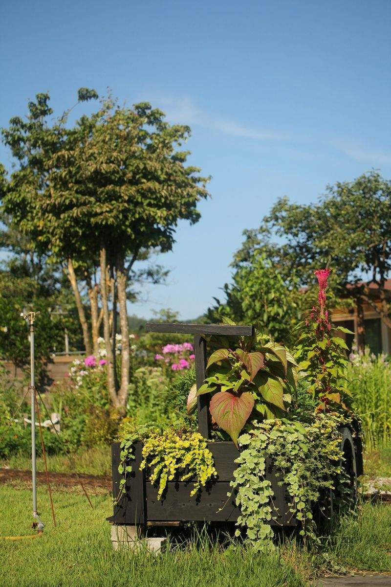 Maple Bloom Garden Co. 14
